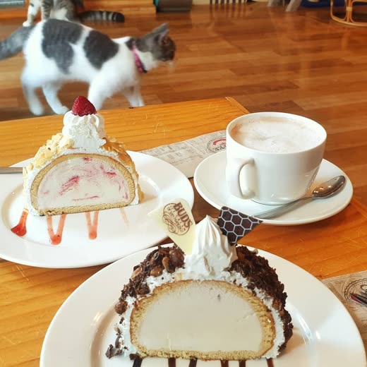 Two cake slices and a cappuccino on a wooden table with a cat walking behind